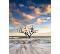 Oak Tree Botany Bay Edisto Island SC Gratitude Journal: 8.5 x 11 softcover notebook with 100 lined pages