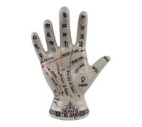 Oak Tree Temerity Jones Porcelain Crackle Phrenology Palmistry Hand Map of the Hand