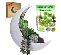 Oakadoaks Hanging Moon Planter -14Pcs Artificial Succulents-Great for Air Plant,Mini Cactus,Faux,Artificial Plants-Boho Planters Indoor Plants,Witchy Gifts Women,Birthdays,Plant Lovers