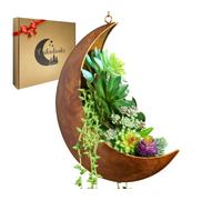 Oakadoaks Hanging Moon Planter for Moon Room Decor Great for Succulents,Air Plant,Mini Cactus,Faux,Artificial Plants-12” Boho Rustic Metal Planters,Gifts for Women,Birthdays,Nursery
