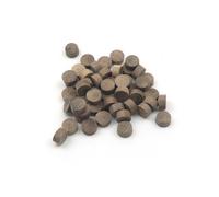 1/2" - 12.7mm Walnut Flat Head End Grain Plug - Pack of 50