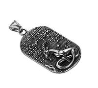 OAKKY Men’s Stainless Steel Vintage 12 Constellations Zodiac Sign Dog Tags Pendant Necklace Diamond Inlay Silver Capricorn
