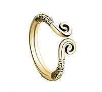 OAKKY Men's Stainless Steel Vintage Sun Wukong Monkey King Golden Hoop Amulet Open Warp Ring, Metal, metal