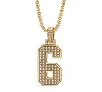 OAKKY Unisex Stainless Steel Personality Classic Hip Hop Rock Iced Out Bling CZ 0-9 Angel Number Necklace Retro Roman Numerology Jewelry Gold 6