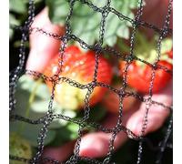 Oakland Gardens Anti Bird Netting 2m 4m 6m 8m 10m 12m Net Fruit Pond Garden Bird Flu Protection (1meter x 1m Netting)
