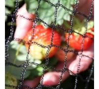 Oakland Gardens Anti Bird Netting 2m 4m 6m 8m 10m 12m Net Fruit Pond Garden Bird Flu Protection (8meter x 4m Netting)