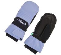 Oakley Apparel B1b Mittens