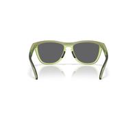 Oakley Frogskins Range Xl Sunglasses Prizm Black/CAT3 Matte Fern/Trans Fern