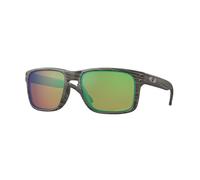 Sunglasses Oakley OO9102 HOLBROOK 9102J8 square brown green prizm