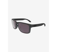 Oakley Holbrook Steel Collection Glasses with Prizm Daily Polarized Lenses