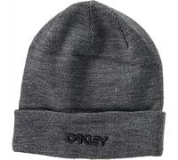 Oakley Apparel B1b Logo Beanie
