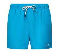 Oakley Mens Lake Swim Shorts GT44867