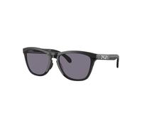Oakley Frogskins Range Glasses