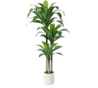 OAKRED Artificial Dracaena Tree 5ft, Tall Fake Dracaena Plants with White Planter, Faux Dragon Tree Indoor Floor Plant for Home Decor Office Living Room Porch Housewarming Gift, 1Pcs
