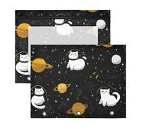 Oarencol Pencil Pouch for 3 Ring Binder Cats Space Galaxy Planet 2 Pack Large Pencil Case Pouch with Zipper & Grommets, Clear Binder Bag, School Office Supplies