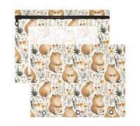 Oarencol Pencil Pouch for 3 Ring Binder Cute Capybaras Florals 2 Pack Large Pencil Case Pouch with Zipper & Grommets, Clear Binder Bag, School Office Supplies