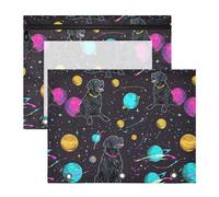 Oarencol Pencil Pouch for 3 Ring Binder Dog Space Galaxy Planet 2 Pack Large Pencil Case Pouch with Zipper & Grommets, Clear Binder Bag, School Office Supplies