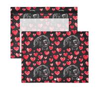 Oarencol Pencil Pouch for 3 Ring Binder Heart Newfoundland Dog Valentines 2 Pack Large Pencil Case Pouch with Zipper & Grommets, Clear Binder Bag, School Office Supplies