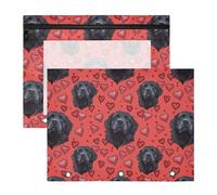 Oarencol Pencil Pouch for 3 Ring Binder Hearts Newfoundland Dog Valentines 2 Pack Large Pencil Case Pouch with Zipper & Grommets, Clear Binder Bag, School Office Supplies