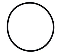 Oase BioPress/PondoPress Lid Sealing O-Ring (185mm x 6mm)