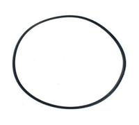 Oase Biopress/pondopress Lid Sealing O-Ring 304mm X 7mm