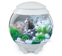 biOrb HALO 15 Acrylic Aquarium, White, MCR Multi-Colour Remote LED Lighting, Premium Fish Tank with Hidden Water Line, 5-Step Filtration, Easy Setup, With Air Pump, Filter Cartridge, Ceramic Media