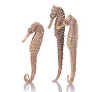 OASE BIORB 3 PACK SEAHORSE AQUARIUM DECORATION ORNAMENT BLACK NATURAL FISH TANK