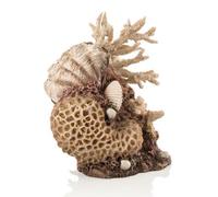 Oase Biorb 48360 Coral Shell Ornament Natural