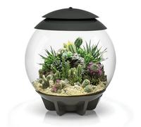Oase Biorb Air 30 Grey 30L Acrylic Terrarium With Led Lighting Tropical Daylight Simulation Plant Tank