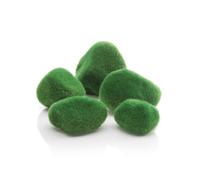 Oase Biorb Pebble Set, Moss Bewachsen