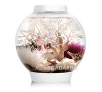 OASE biOrb CLASSIC MCR AQUARIUMS MULTI-COLOUR LED 15L 30L 60L 105L FISH TANKS
