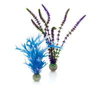 Oase Biorb Easy Plant, Medium,pack Of 2, Blue/purple