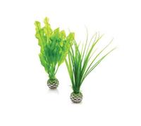 Oase Biorb Easy Plant, Small, Pack Of 2, Green