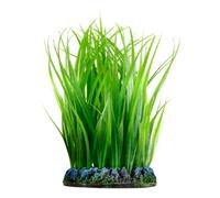 Oase Biorb Grass Ring, Medium, Green