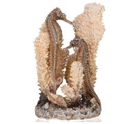 Oase Biorb Ornament Seahorses On Coral Natural Small