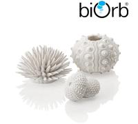 Oase BiOrb Ornaments Sea Shells Stars Urchins Aquarium Fish Tank Decorations