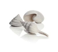 Oase Biorb Samuel Baker Sea Shells, White