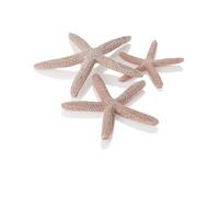 biOrb Fish Tank Decorations, Ceramic Starfish (Set of 3 Aquarium Ornaments, Natural Colour), Artificial Fish Tank Accessories To Add Colour Accent, Natural-Looking Aquarium Decor For Scenic Background