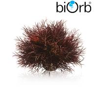 Oase BiOrb Topiary Flower Colour Balls Caulerpa Aquarium Plants Decorations