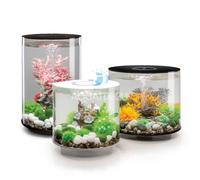 biOrb TUBE 35 Aquarium with Multi Colour LED Light - Remote Control - White