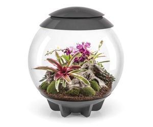Oase Biorbair 60 Litre Automatic Terrarium In Grey With Led Lighting