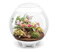 BiOrbAIR 60 Litre Automatic Terrarium in Grey with LED Lighting