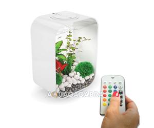 Oase Multicolor Fish Tank Life MCR LED biOrb Aquariums - 15L, 30L, 45L, 60L