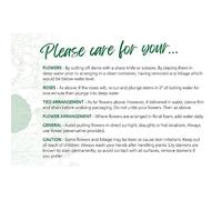 OASIS® Care Cards - Pack of 100 Florist Flower Instruction Cards | Fresh Cut Flower Advice | Bouquet & Floral Arrangement Aftercare | Professional Florist Supplies (Caring/Flowers)