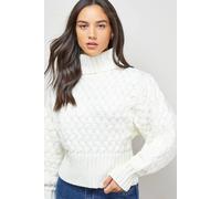 Oasis Chunky Cable Knit Roll Neck Jumper In Ivory ivory M
