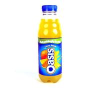 Oasis Citrus Punch 24X 500Ml
