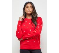 Oasis Embellished Crew Neck Jumper In Red red