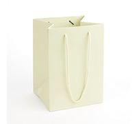 Oasis Gift Bag - Pack of 10 Rope Handle Porto Bags - Ivory - Florist Hand Tied Flower Plant Transporter - 25cm x 18cm x 17cm