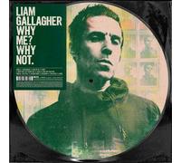 OASIS LIAM GALLAGHER LP Why Me ? Why Not PICTURE DISC Record Store Day 2019 NEW