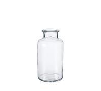 OASIS Modern Clear Glass Wide Flower Jar - Twig Stem Bouquet Display Vase (10 x 20cm)
